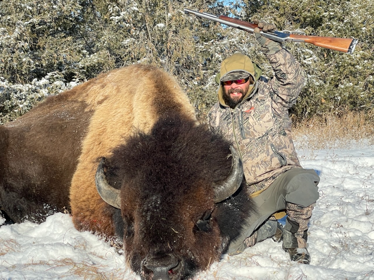 Bison and Hunter